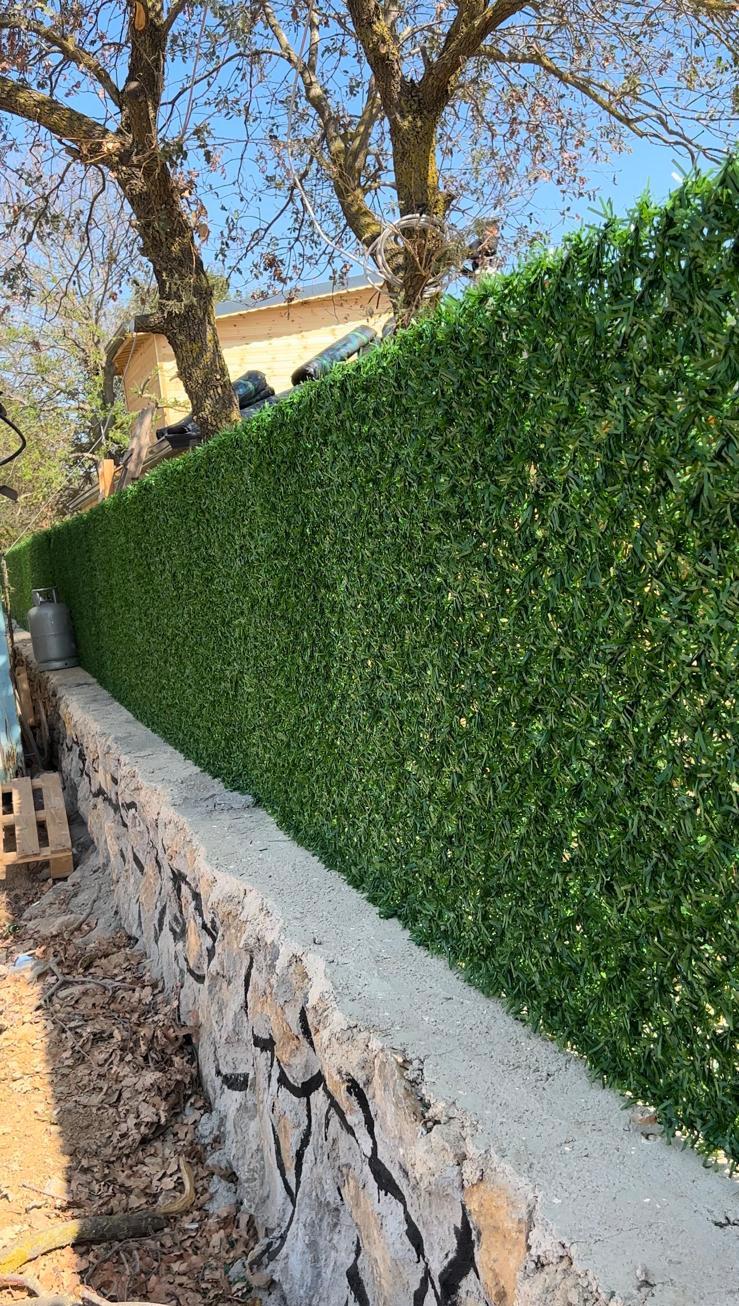 WhatsApp Image 2024-12-03 at 00.01.28