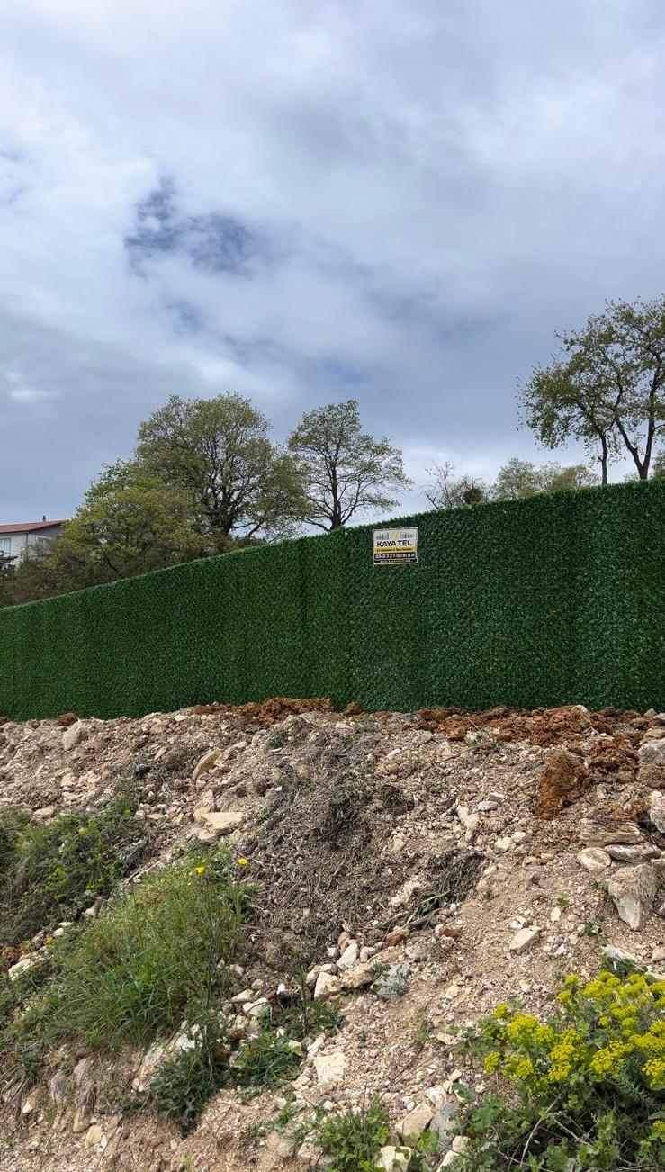 WhatsApp Image 2024-12-03 at 00.01.29 (1)